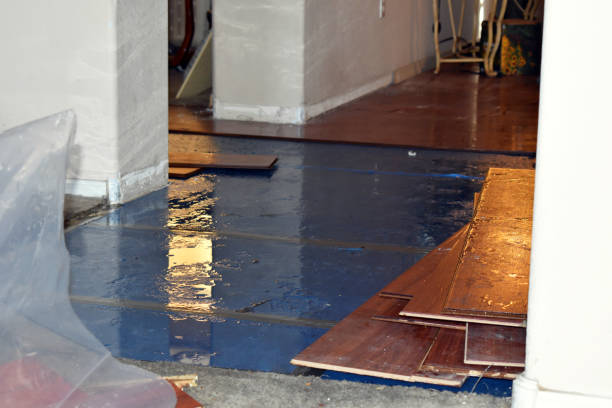 Professional Water Extraction technician working in Eden, WI